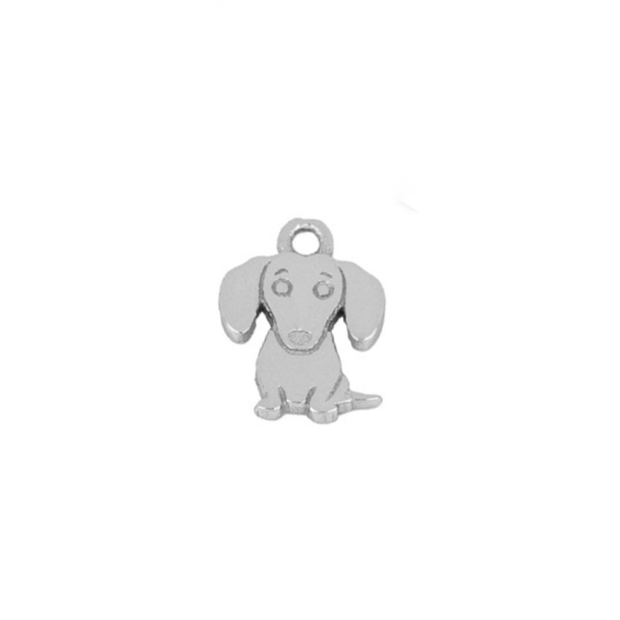 Charm Perrito