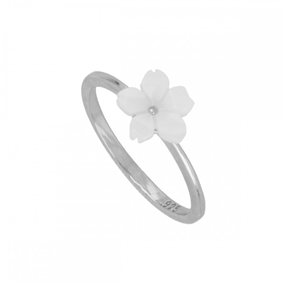 Anillo Binan
