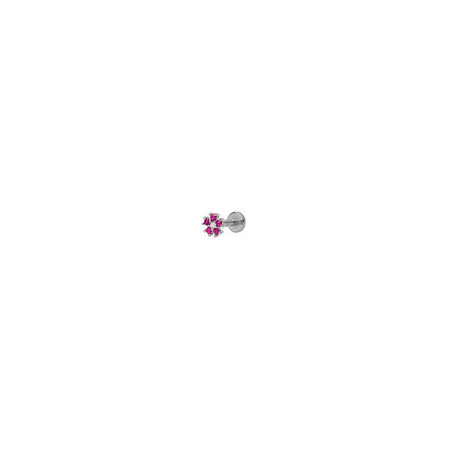 Piercing Fani Rosa