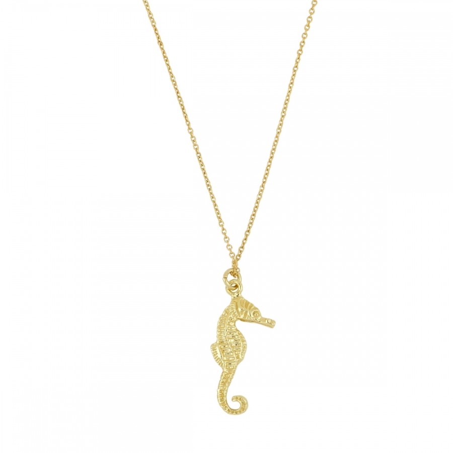 Collar Caballito De Mar Gold
