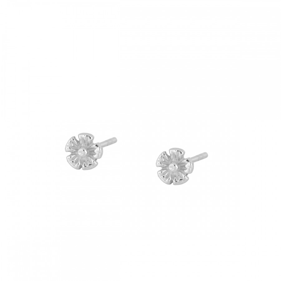Pendientes Agate