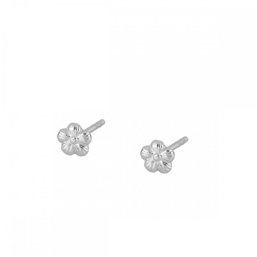 Pendientes Domeka