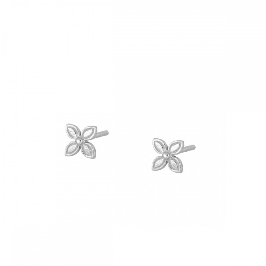 Pendientes Ederne