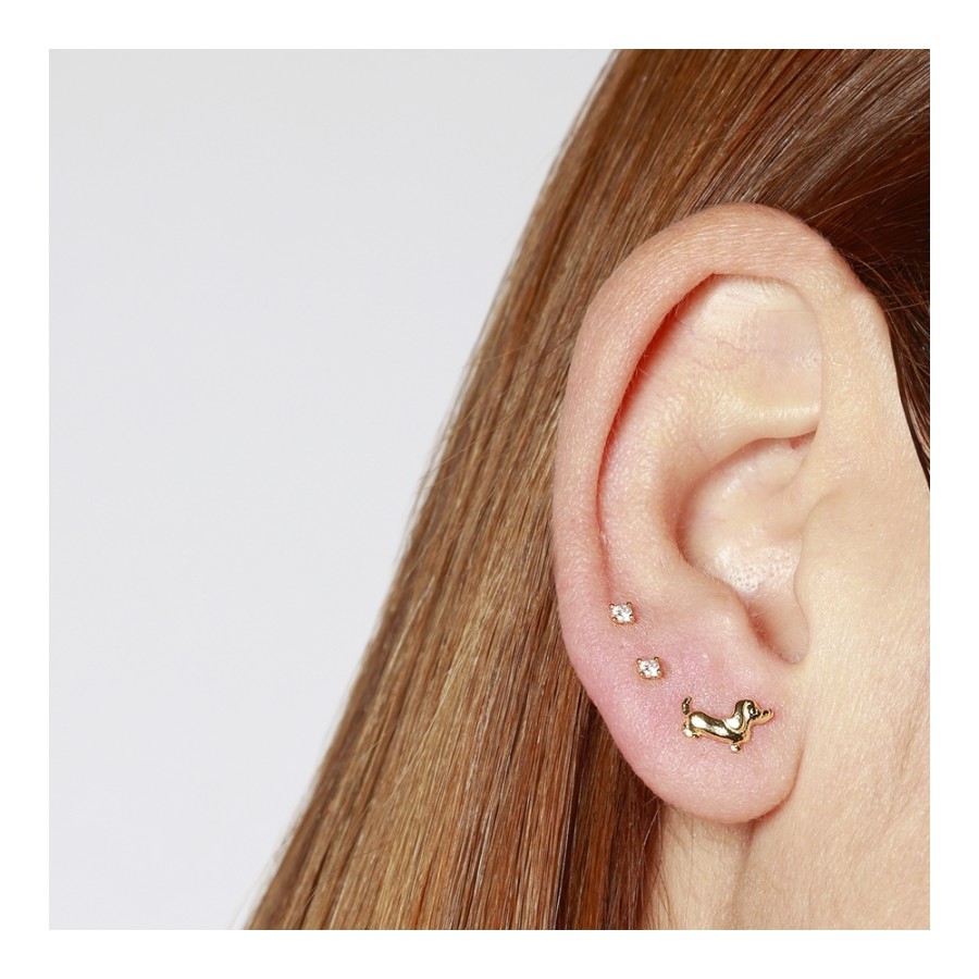 Pendientes Perrito