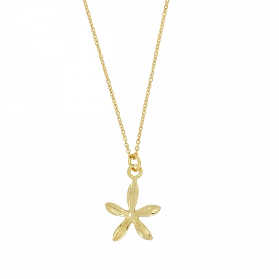 Collar Flor 5 Pétalos Gold