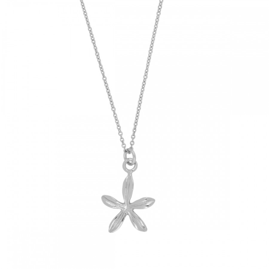 Collar Flor 5 Pétalos