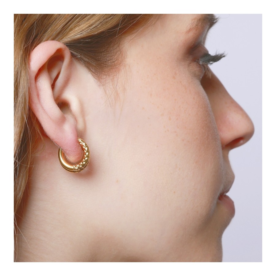 Pendientes Dantile