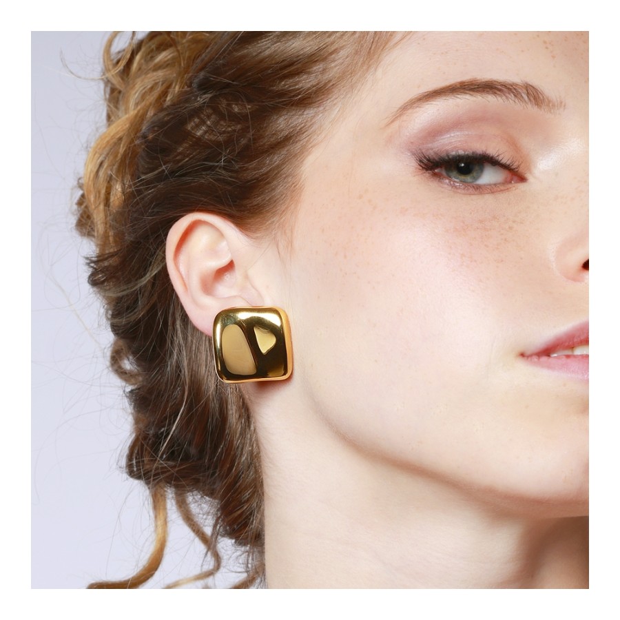 Pendientes Luneri