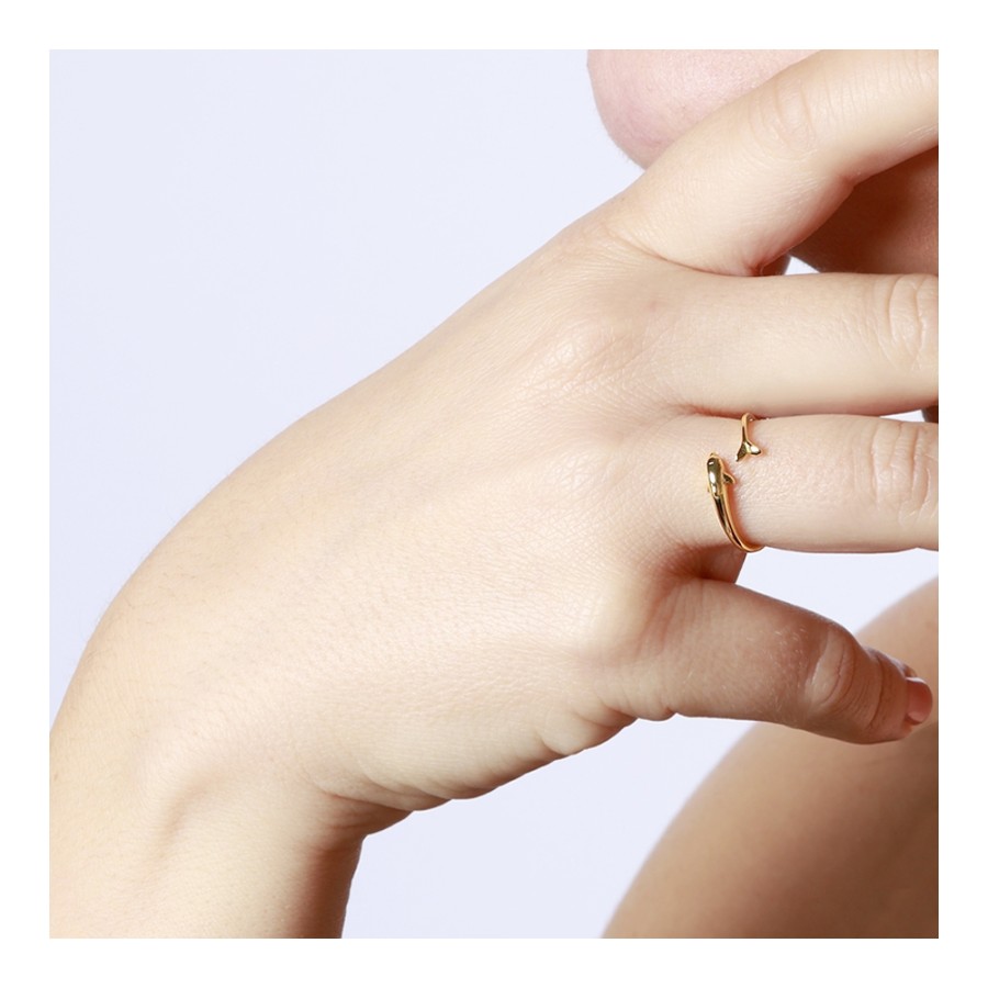 Anillo Delfín