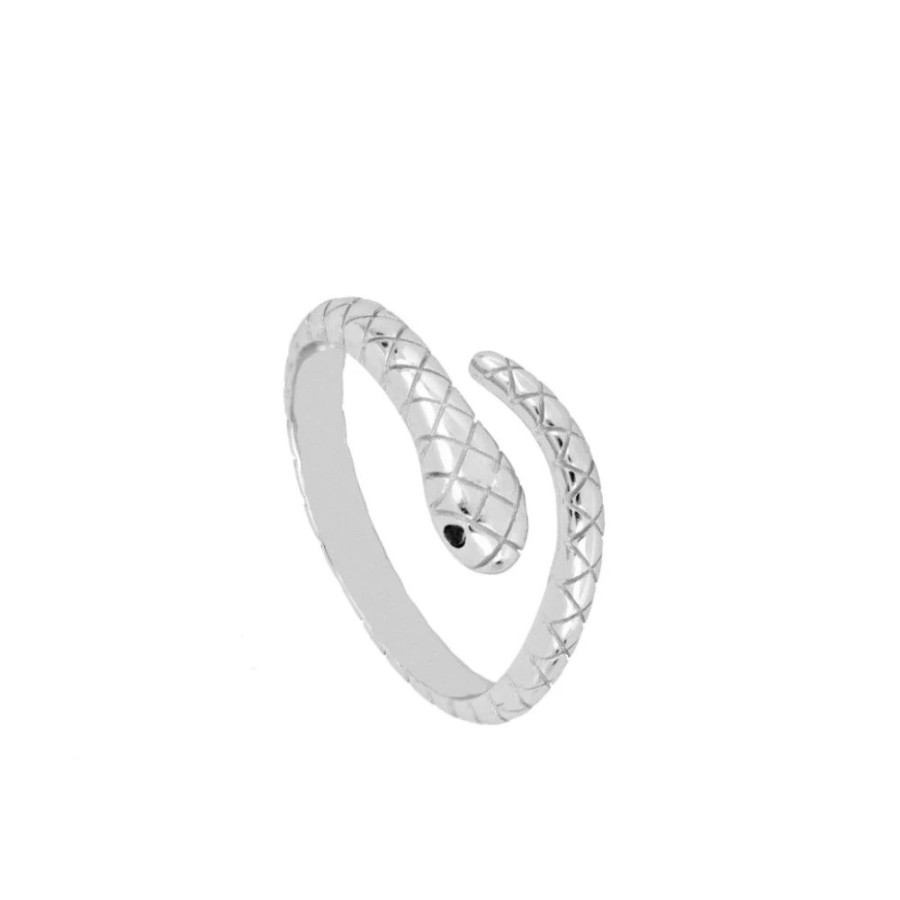 Anillo Snake