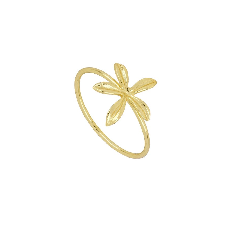 Anillo Florusia Gold