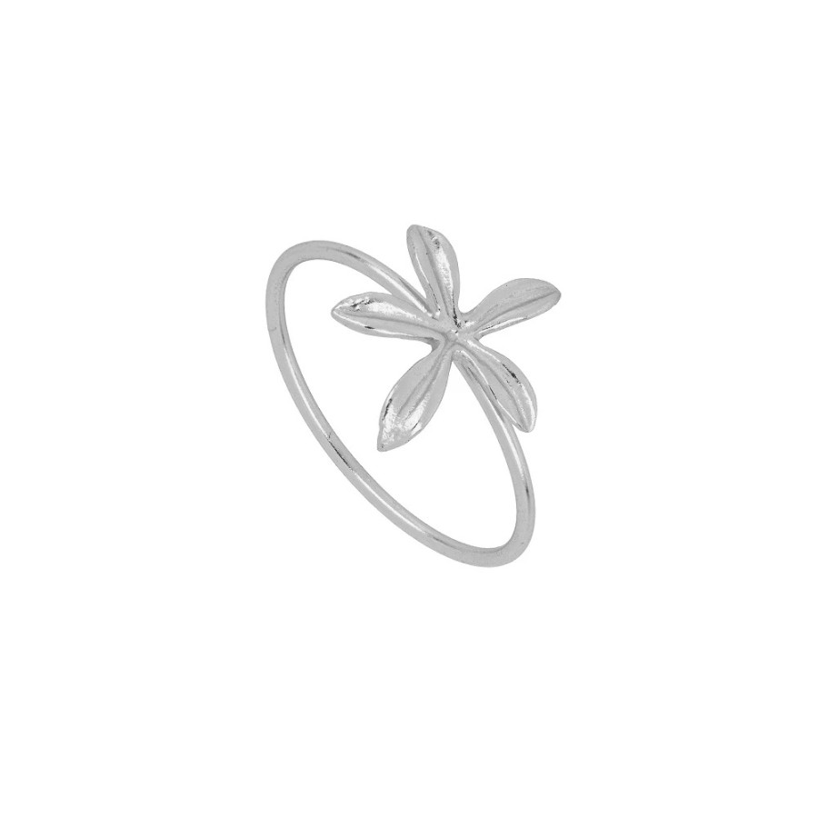 Anillo Florusia